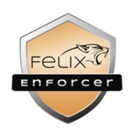 FELIX ENFORCER SECURITY, PROTECTS AGAINST MALWARE & THREATS,1 USER, 12MTH SUB OEM