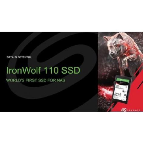 Seagate IronWolf 110 SSD 2.5 inch SATA SSD 3840GB 5 year Warranty with a  2-year Data Recovery Services included
