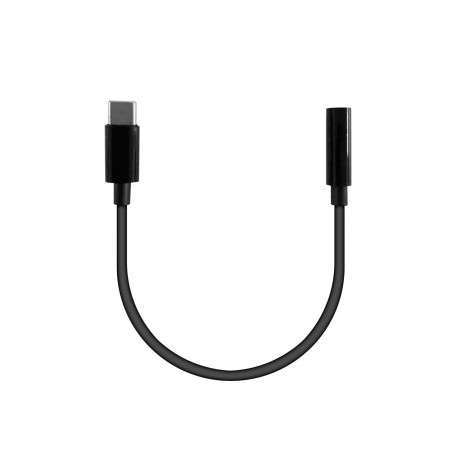 SHINTARO SH-121 Audio Adaptor - USB-C to AUX - Image 1
