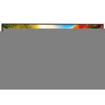 Sharp PN-ME502 DIGITAL DISPLAY (PN-ME) 50" 4K UHD, 450NITS, HDMI, LAN, PORT/LAND, VA, 18H/7D, 3YR - Image 1