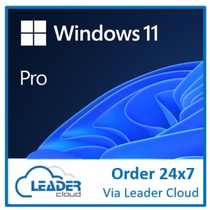 Microsoft ESD Windows 11 Professional (ESD) Electronic License throu CSP - No Refund.