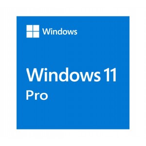 Microsoft Windows 11 Professional OEM 64-bit English 1 Pack DVD. Key .