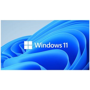 MICROSOFT HZV-00101 Windows 11 Professional for Workstation 64 BIT - By Order