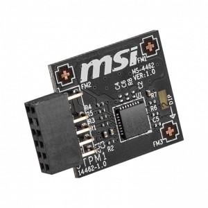 MSI TPM 2.0 Module (MS-4462) SPI Interface, 12-1 Pin, Supports MSI Intel 400 Series Motherboards and MSI AMD 500 Series Motherboards